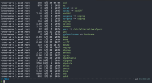 Linux 中的“文件模式”